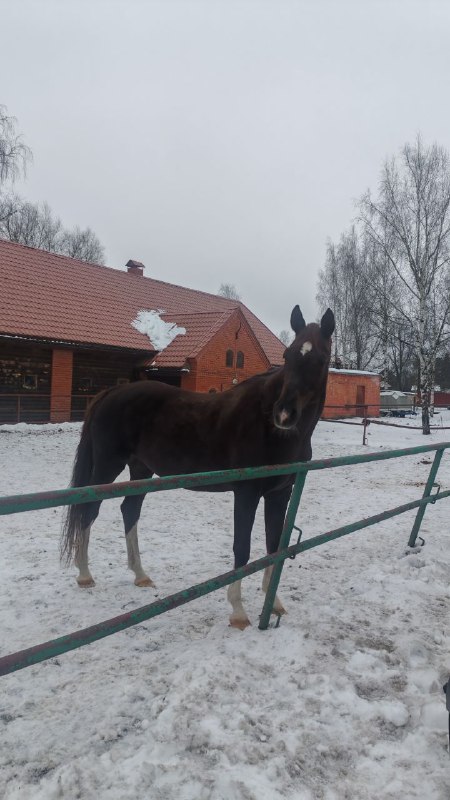 ��� �� ��������� ��� �������� ������ - �������� �� ������������!