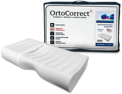 ���� ������ ��� ������ �������������� �������