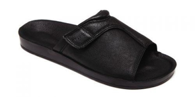 PU_02_21_KS4-500x250