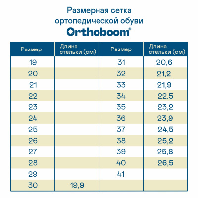 81036-01 �����-�������� � ����� (7)